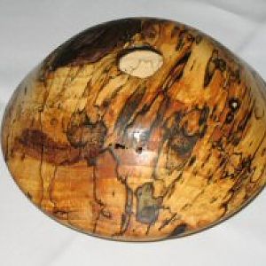 spalted pecan