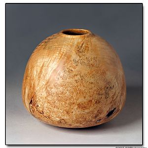 Box Elder Burl HF