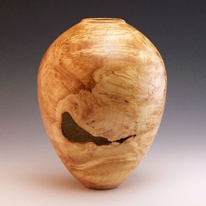 Maple Burl