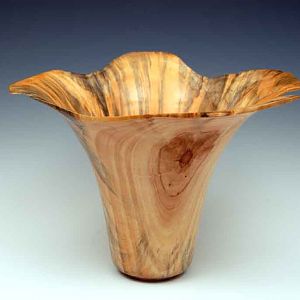 Bowl 16 Monterey Pine