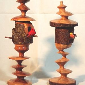 Multi-Axis Birdhouses