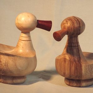 Multi-Axis Ducks