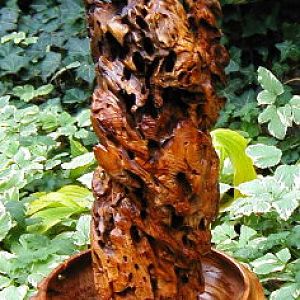 Wood Sculpture
