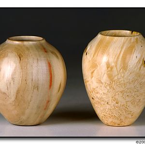 Box Elder Hollow Forms