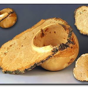 Box Elder Burl Natural Edge Winged Bowl