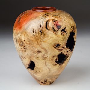 Camphor Burl Hollow form