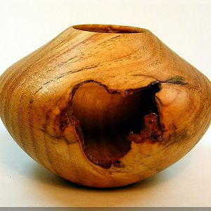 Honey Locust SW Hollow Form