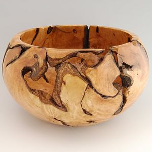 Myoporum Root Ball Bowl