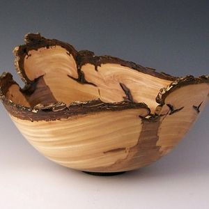 Elm Natural Edge