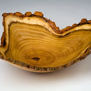 Catalpa Natural Edge Bowl