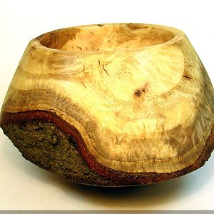 Unknown Burl Bowl