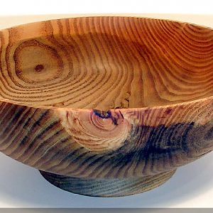 Honey Locust Revere Style Bowl