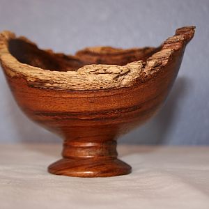 Curly Koa Bowl