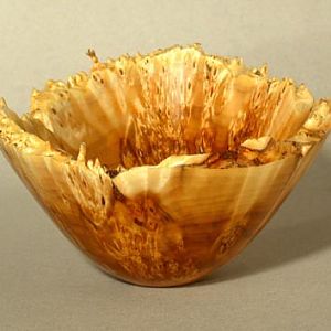 Natural Edge Willow Burl Bowl