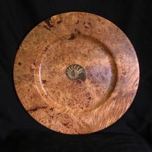 Bigleaf Maple/Ammonite