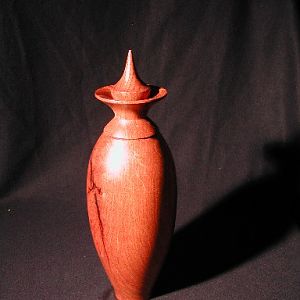 Mesquite Vase