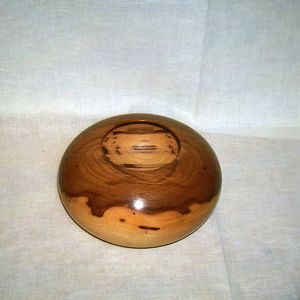 cedar elm hollow vessel