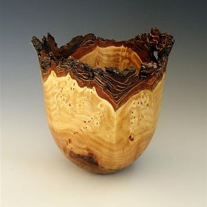 Elm Burl NE