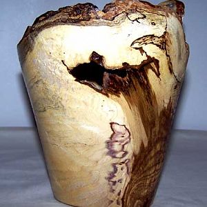 Hackberry Burl1