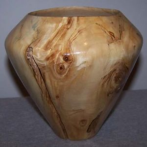 cottonwood vase