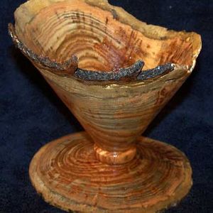 spalted black locust