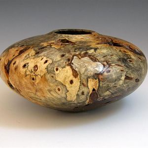 Buckeye Burl HF