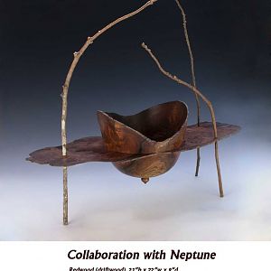 Collaboration with Neptune