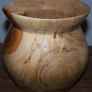 spalted sycamore