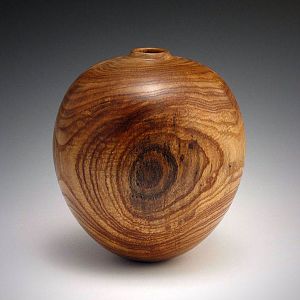 Honey Locust Hollow Form - 593