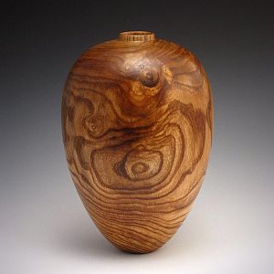 Honey Locust Hollow Form - 590