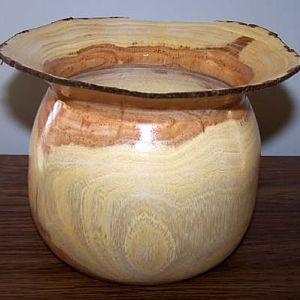 black locust