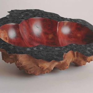 Red Mallee Burl