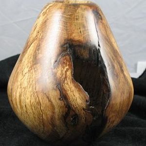 Spalted Oak Burl HF