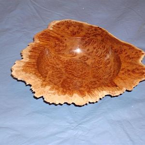 1st winged bowl Black Morrel Burl top view