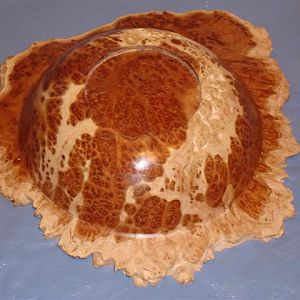 1st winged bowl Black Morrel Burl bottom view