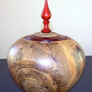 Magnolia and Padauk Vessel