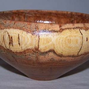 spalted black locust