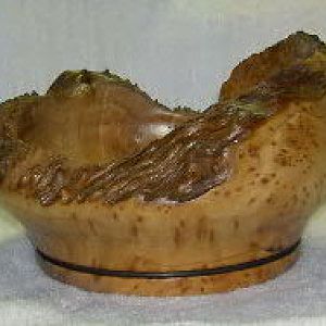 Burl