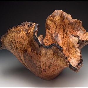 Tasmanian myrtle burl vessel