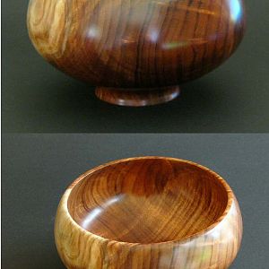 Tasmanian Blackwood