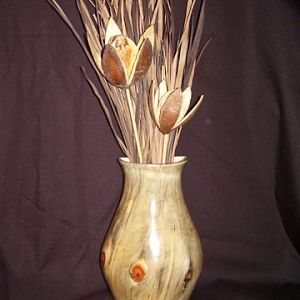 Norfolk Island Pine Wall Vase