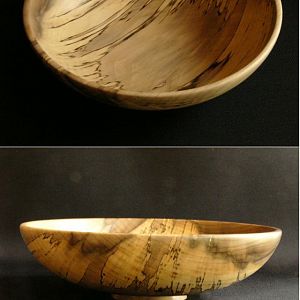 Spalted Tasmanian Sassafras