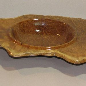 Winged mallee burl