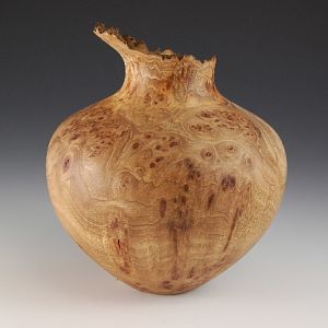 Elm burl