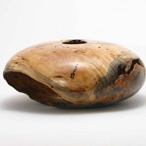 Maple Hollow Form