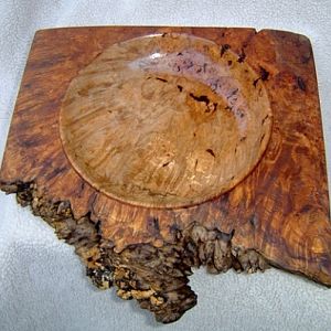 Big Leaf Maple Burl