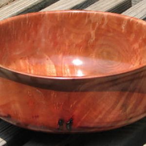 Madrone Bowl