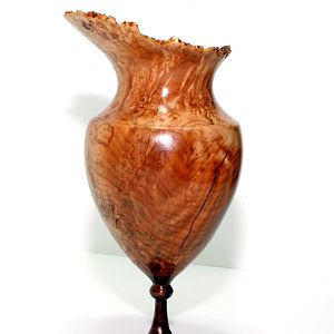 Maple Hollow Form on Walnut Pedestal