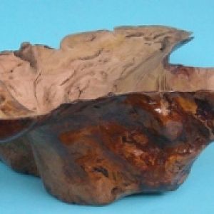 Red_Gum_Burl
