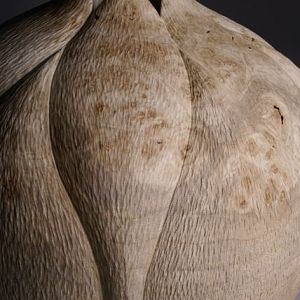 Silver Maple Burl Vessel 2008